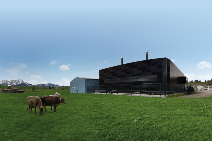 Bild von Rechenzentrum mit Kühen auf der Wiese.