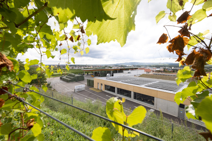 winzer krems produktionshalle