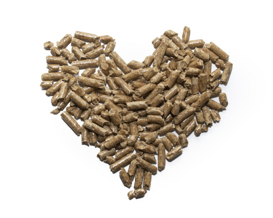 Preis Pellets